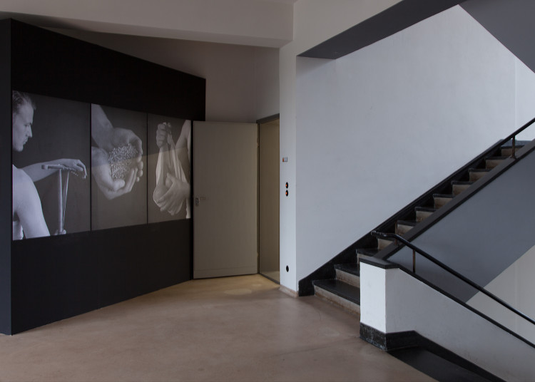 Ausstellungsansicht Beyond Eden, Bauhaus Dessau, 2012